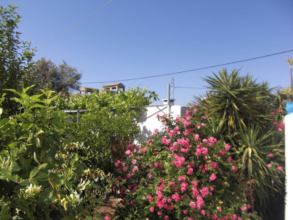 Hotel Anthula Sun Archangelos  Exterior foto